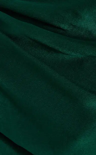 DEME Exclusive The Talia Draped Silk-Satin Maxi Dress | Thumbnail 5 DEME Exclusive The Talia Draped Silk-Satin Maxi Dress | Thumbnail 5