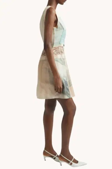 Jason Wu Collection SLEEVELESS COLLAGE MINI DRESS W/ GROUNDINGS ARTWORK BY ROBERT RAUSCHENBERG | Thumbnail 3 Jason Wu Collection SLEEVELESS COLLAGE MINI DRESS W/ GROUNDINGS ARTWORK BY ROBERT RAUSCHENBERG | Thumbnail 3