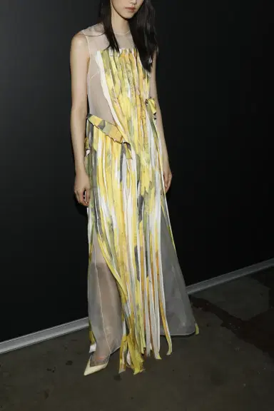 Jason Wu Collection SLEEVELESS STRIP TANK GOWN WITH SULPHUR BANK ARTWORK BY ROBERT RAUSCHENBERG | Thumbnail 1 Jason Wu Collection SLEEVELESS STRIP TANK GOWN WITH SULPHUR BANK ARTWORK BY ROBERT RAUSCHENBERG | Thumbnail 1