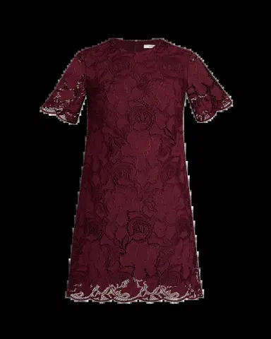 Erdem Embroidered Cutwork Short-Sleeve Mini Dress | Thumbnail 2 Erdem Embroidered Cutwork Short-Sleeve Mini Dress | Thumbnail 2