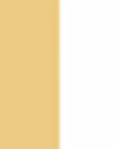 Graziela Gems 18K Yellow Gold Diamond Bahia Statement Earrings | Thumbnail 2 Graziela Gems 18K Yellow Gold Diamond Bahia Statement Earrings | Thumbnail 2