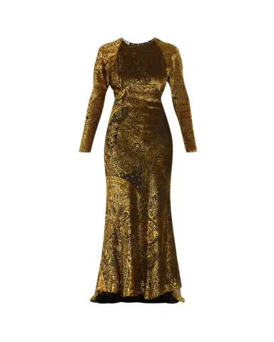 Etro Paisley Velvet Burnout Empire-Waist Maxi Dress | Thumbnail 1 Etro Paisley Velvet Burnout Empire-Waist Maxi Dress | Thumbnail 1