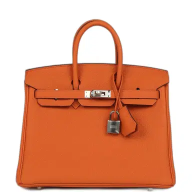 HERMÈS Hermes Birkin 25 Orange Togo Palladium Hardware | Thumbnail 1 HERMÈS Hermes Birkin 25 Orange Togo Palladium Hardware | Thumbnail 1