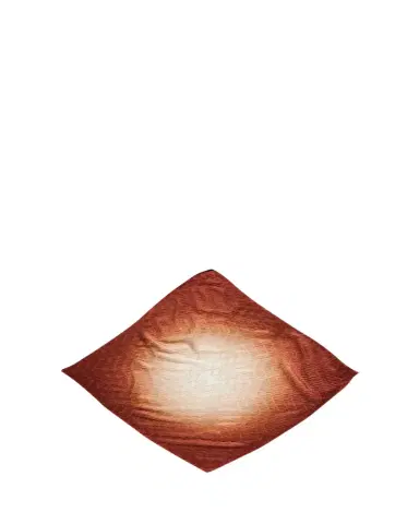 Giorgio Armani Pleated Ombre Silk Stole, 35.4" | Thumbnail 1 Giorgio Armani Pleated Ombre Silk Stole, 35.4" | Thumbnail 1