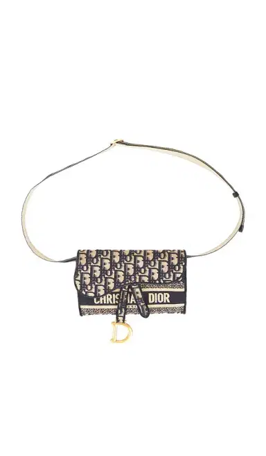 dior Dior Oblique Slim Saddle Pouch | Thumbnail 1 dior Dior Oblique Slim Saddle Pouch | Thumbnail 1
