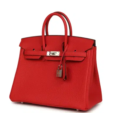 HERMÈS Hermes Birkin 25 Rouge Radieux Togo Palladium Hardware | Thumbnail 5 HERMÈS Hermes Birkin 25 Rouge Radieux Togo Palladium Hardware | Thumbnail 5