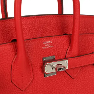 HERMÈS Hermes Birkin 25 Rouge Radieux Togo Palladium Hardware | Thumbnail 7 HERMÈS Hermes Birkin 25 Rouge Radieux Togo Palladium Hardware | Thumbnail 7