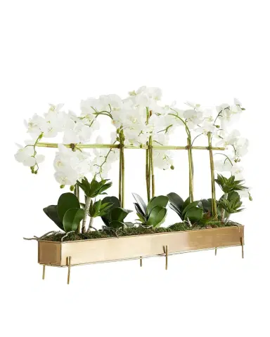 John-Richard Collection Rows Of Orchids Faux-Floral Arrangement | Thumbnail 1 John-Richard Collection Rows Of Orchids Faux-Floral Arrangement | Thumbnail 1