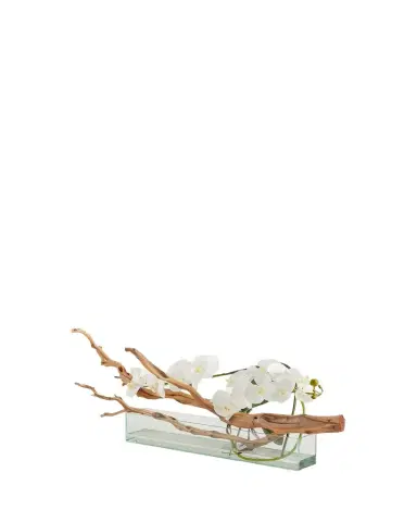 John-Richard Collection Sculptured Orchids | Thumbnail 1 John-Richard Collection Sculptured Orchids | Thumbnail 1