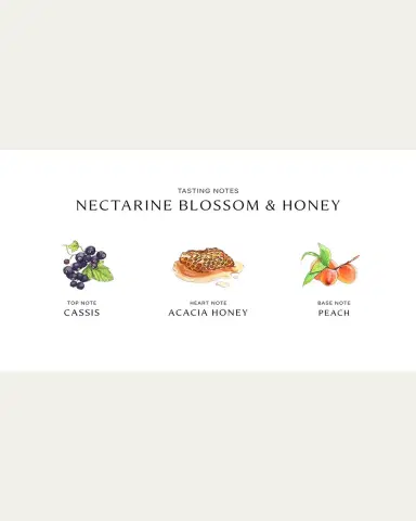 Jo Malone London 7 oz. Nectarine Blossom & Honey Home Candle | Thumbnail 4 Jo Malone London 7 oz. Nectarine Blossom & Honey Home Candle | Thumbnail 4