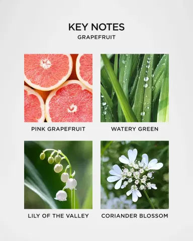 NEST New York 10 oz. Grapefruit Liquid Soap | Thumbnail 4 NEST New York 10 oz. Grapefruit Liquid Soap | Thumbnail 4