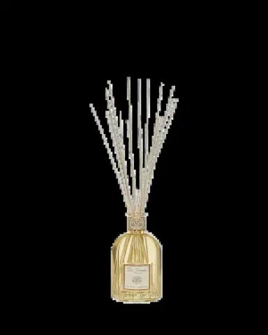 Dr. Vranjes Firenze Ginger Lime Vase Glass Bottle Home Fragrance, 169 oz./ 5000 mL | Thumbnail 2 Dr. Vranjes Firenze Ginger Lime Vase Glass Bottle Home Fragrance, 169 oz./ 5000 mL | Thumbnail 2