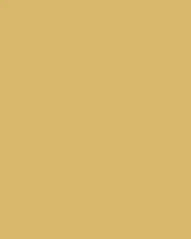 Jay Strongwater Tiger Striped Compact | Thumbnail 3 Jay Strongwater Tiger Striped Compact | Thumbnail 3