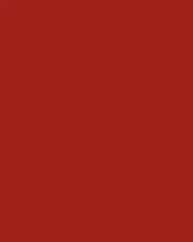 Versace Medusa Modern Service Plate | Thumbnail 2 Versace Medusa Modern Service Plate | Thumbnail 2