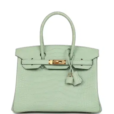 HERMÈS Hermes Birkin 30 Vert D'Eau Matte Alligator Gold Hardware | Thumbnail 1 HERMÈS Hermes Birkin 30 Vert D'Eau Matte Alligator Gold Hardware | Thumbnail 1