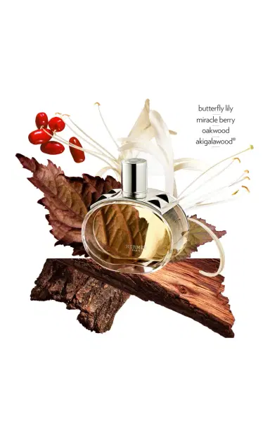 Hermès Beauty Barénia Body Cream | Thumbnail 3 Hermès Beauty Barénia Body Cream | Thumbnail 3