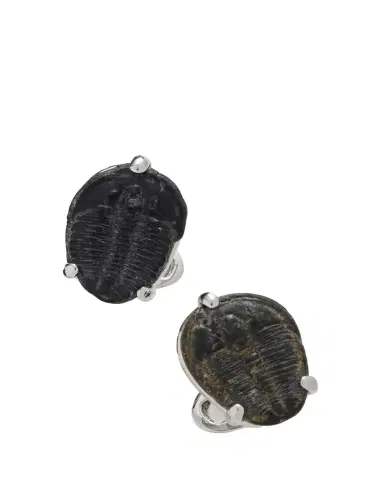 Jan Leslie Men's Delta Trilobite Cufflinks | Thumbnail 1 Jan Leslie Men's Delta Trilobite Cufflinks | Thumbnail 1