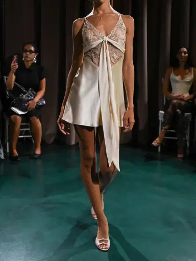 Wiederhoeft Blumen Tie-detailed Embroidered Silk Chiffon And Satin Mini Dress | Thumbnail 5 Wiederhoeft Blumen Tie-detailed Embroidered Silk Chiffon And Satin Mini Dress | Thumbnail 5