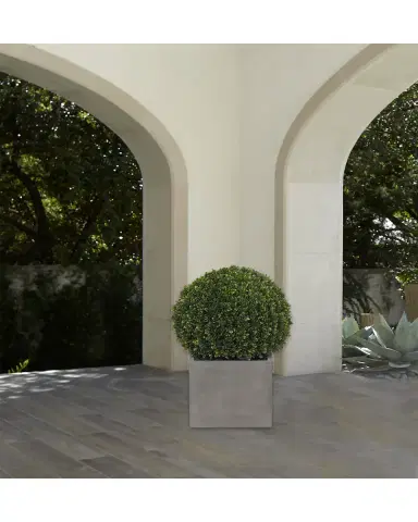 NDI Faux Boxwood Ball Topiary Plant in Concrete Planter, 27"T | Thumbnail 2 NDI Faux Boxwood Ball Topiary Plant in Concrete Planter, 27"T | Thumbnail 2