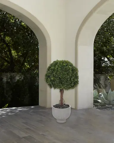 NDI Faux Boxwood Ball Topiary Plant in Concrete Planter, 40"T | Thumbnail 1 NDI Faux Boxwood Ball Topiary Plant in Concrete Planter, 40"T | Thumbnail 1
