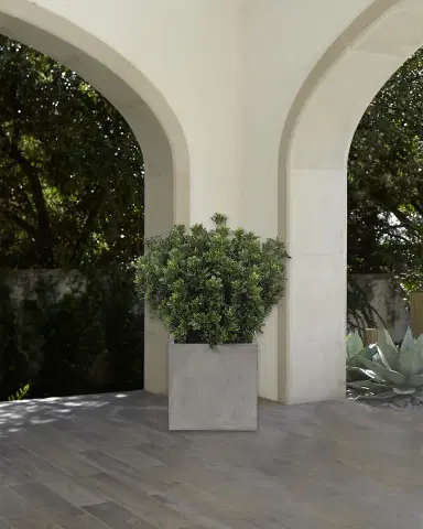 NDI Faux Boxwood Bush Plant in Cube Planter, 37"T | Thumbnail 1 NDI Faux Boxwood Bush Plant in Cube Planter, 37"T | Thumbnail 1