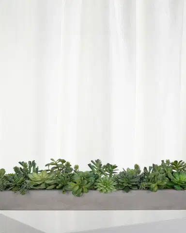 NDI Faux Succulent Plant in Rectangle Concrete Planter | Thumbnail 2 NDI Faux Succulent Plant in Rectangle Concrete Planter | Thumbnail 2