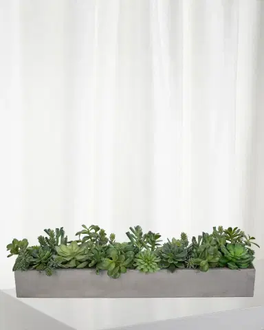 NDI Faux Succulent Plant in Rectangle Concrete Planter | Thumbnail 1 NDI Faux Succulent Plant in Rectangle Concrete Planter | Thumbnail 1