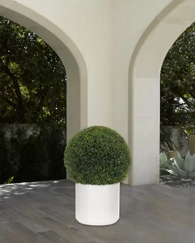 NDI Faux Boxwood Ball Plant in Ceramic Planter, 23"T | Thumbnail 1 NDI Faux Boxwood Ball Plant in Ceramic Planter, 23"T | Thumbnail 1