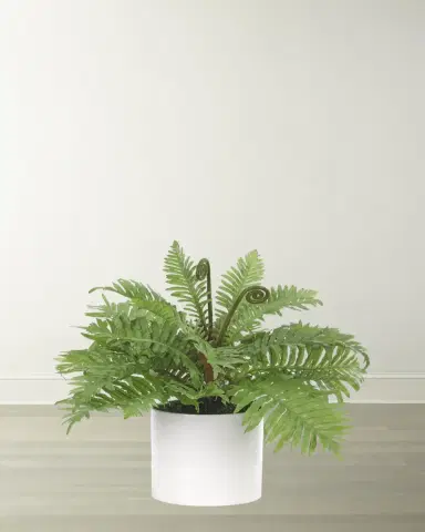 NDI Faux Fern in White Ceramic Cylinder | Thumbnail 2 NDI Faux Fern in White Ceramic Cylinder | Thumbnail 2