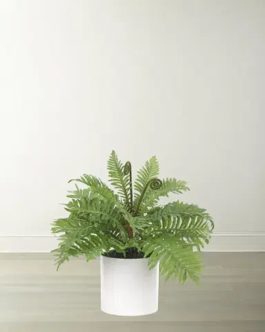 NDI Faux Fern in White Ceramic Cylinder | Thumbnail 1 NDI Faux Fern in White Ceramic Cylinder | Thumbnail 1