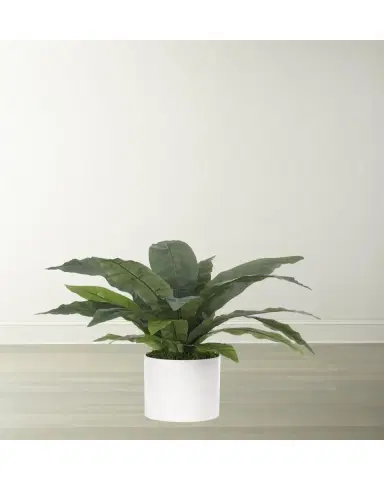 NDI Faux Bird Nest Fern Plant in White Ceramic Planter | Thumbnail 2 NDI Faux Bird Nest Fern Plant in White Ceramic Planter | Thumbnail 2