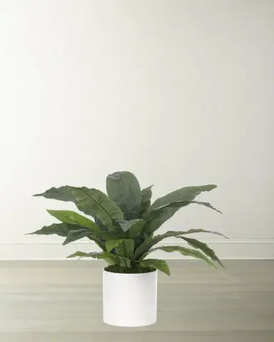 NDI Faux Bird Nest Fern Plant in White Ceramic Planter | Thumbnail 1 NDI Faux Bird Nest Fern Plant in White Ceramic Planter | Thumbnail 1