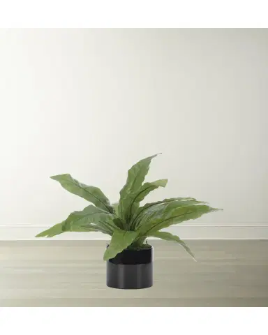 NDI Faux Bird Nest Fern Plant in Black Ceramic Planter | Thumbnail 2 NDI Faux Bird Nest Fern Plant in Black Ceramic Planter | Thumbnail 2