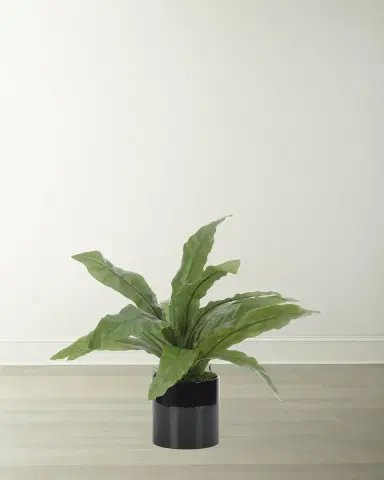 NDI Faux Bird Nest Fern Plant in Black Ceramic Planter | Thumbnail 1 NDI Faux Bird Nest Fern Plant in Black Ceramic Planter | Thumbnail 1