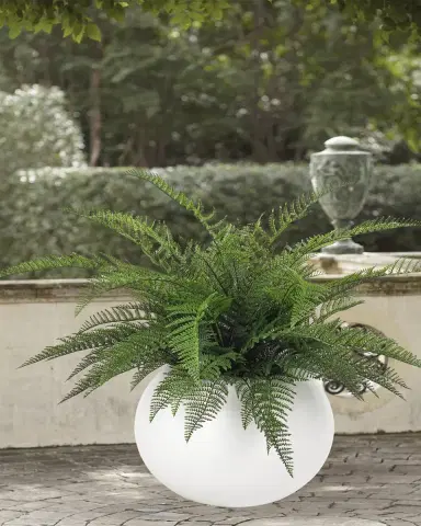 NDI Faux Fern Plant in Orb Planter, 39"T | Thumbnail 2 NDI Faux Fern Plant in Orb Planter, 39"T | Thumbnail 2