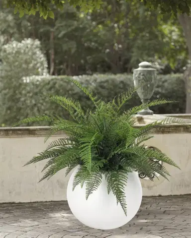 NDI Faux Fern Plant in Orb Planter, 39"T | Thumbnail 1 NDI Faux Fern Plant in Orb Planter, 39"T | Thumbnail 1