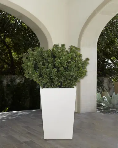 NDI Faux Boxwood Plant in Tapered Rectangular Planter, 60"T | Thumbnail 1 NDI Faux Boxwood Plant in Tapered Rectangular Planter, 60"T | Thumbnail 1