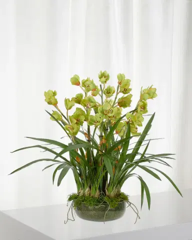 NDI Orchid Cymbidium Moss Garden Faux-Floral Arrangement in Glass Bowl, 40wx40dx35h | Thumbnail 1 NDI Orchid Cymbidium Moss Garden Faux-Floral Arrangement in Glass Bowl, 40wx40dx35h | Thumbnail 1