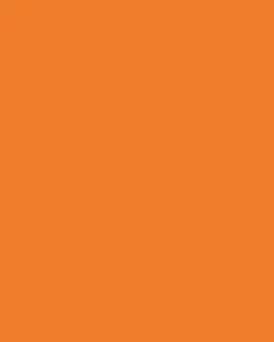 Versace Medusa Amplified Orange Coin Service Plate | Thumbnail 3 Versace Medusa Amplified Orange Coin Service Plate | Thumbnail 3