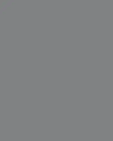 NDI Cypress Ball Topiary in Concrete Planter | Thumbnail 3 NDI Cypress Ball Topiary in Concrete Planter | Thumbnail 3