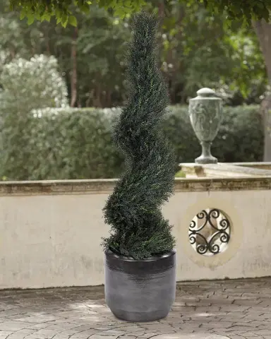 NDI Faux Cypress Spiral Topiary In A Pot, 51"T | Thumbnail 1 NDI Faux Cypress Spiral Topiary In A Pot, 51"T | Thumbnail 1