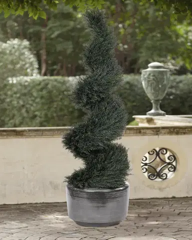 NDI Faux Cypress Spiral Topiary In Ceramic Pot, 71"T | Thumbnail 2 NDI Faux Cypress Spiral Topiary In Ceramic Pot, 71"T | Thumbnail 2