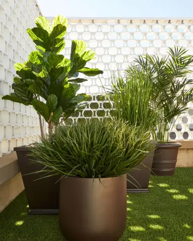 NDI Faux Grass In Tapered Square Pot, 65"T | Thumbnail 1 NDI Faux Grass In Tapered Square Pot, 65"T | Thumbnail 1