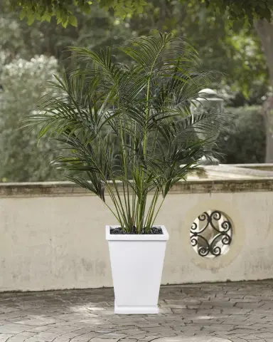 NDI Faux Palm Tree In Tapered Square Pot, 74"T | Thumbnail 1 NDI Faux Palm Tree In Tapered Square Pot, 74"T | Thumbnail 1