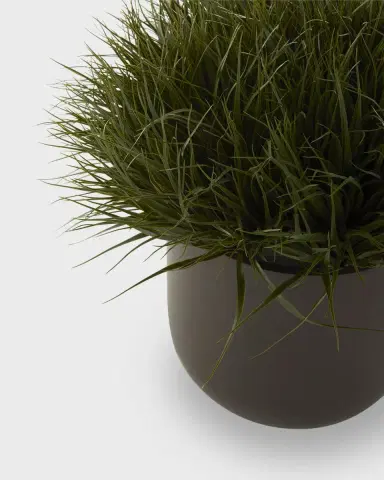 NDI Grass Dome Planter | Thumbnail 2 NDI Grass Dome Planter | Thumbnail 2
