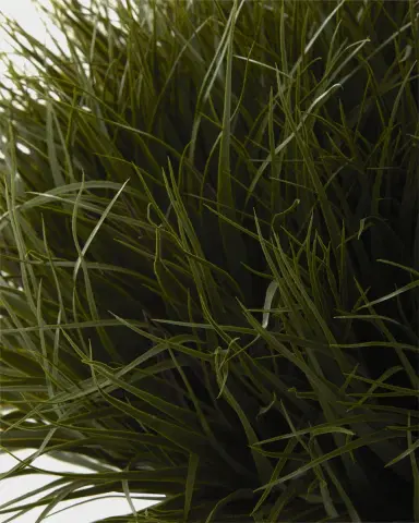 NDI Grass Dome Planter | Thumbnail 3 NDI Grass Dome Planter | Thumbnail 3