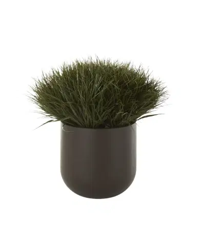 NDI Grass Dome Planter | Thumbnail 1 NDI Grass Dome Planter | Thumbnail 1