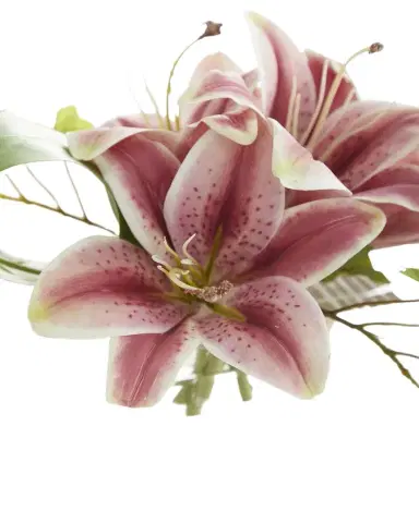 John-Richard Collection Tropical Ice Floral Arrangement | Thumbnail 1 John-Richard Collection Tropical Ice Floral Arrangement | Thumbnail 1
