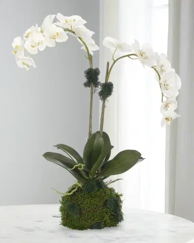 NDI Phalaenopsis Orchid 25" Faux Floral Arrangement in Moss Ball | Thumbnail 1 NDI Phalaenopsis Orchid 25" Faux Floral Arrangement in Moss Ball | Thumbnail 1