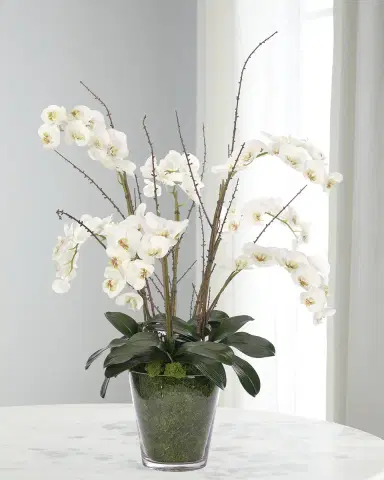 NDI White Phalaenopsis Orchids 44" Faux Floral Arrangement in a Moss Glass Vase | Thumbnail 1 NDI White Phalaenopsis Orchids 44" Faux Floral Arrangement in a Moss Glass Vase | Thumbnail 1